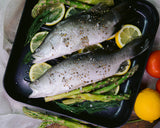 Red Sea Barramundi