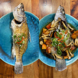 Red Sea Barramundi